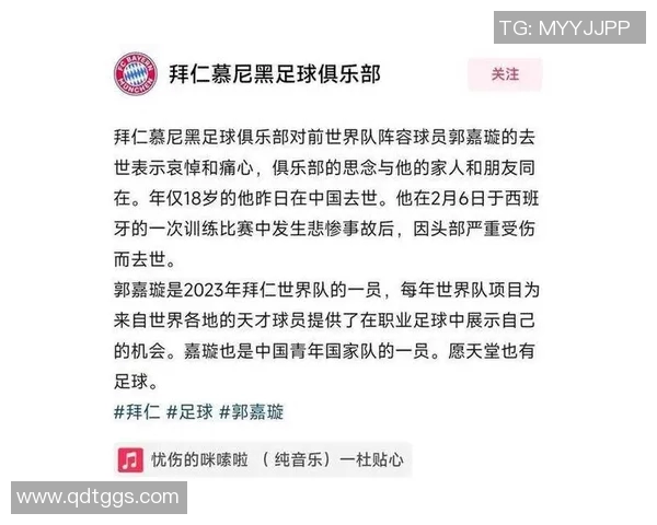 沈阳足球之星汇聚一堂揭秘沈阳籍足球明星的辉煌成就与传奇故事 沈阳足球之星汇聚一堂揭秘沈阳籍足球明星的辉煌成就与传奇故事