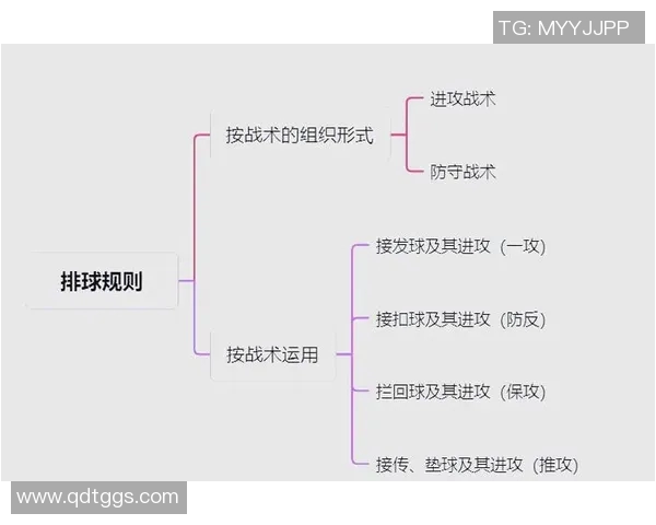 广州排球队防守策略揭秘：深度分析排球战术与团队协作技巧