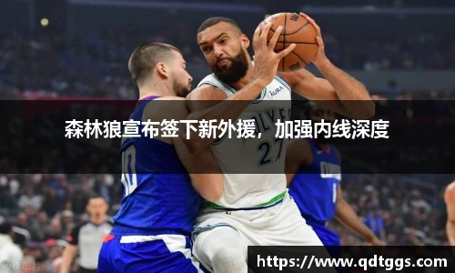 森林狼宣布签下新外援，加强内线深度