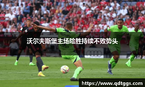 沃尔夫斯堡主场险胜持续不败势头