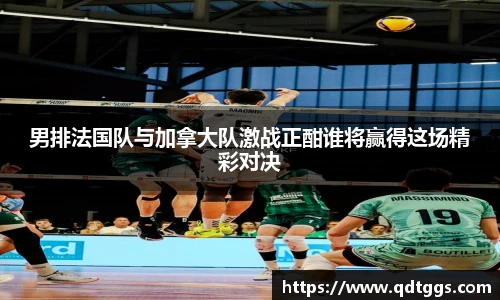 男排法国队与加拿大队激战正酣谁将赢得这场精彩对决