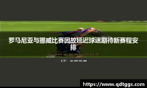 罗马尼亚与挪威比赛因故延迟球迷期待新赛程安排